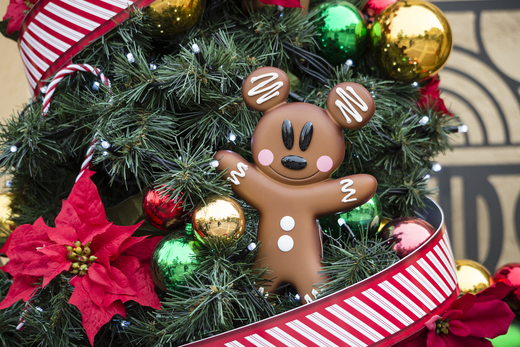Disney S Betoverende Kerst Travel360